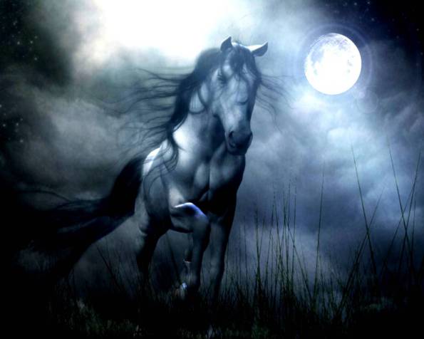 moon horse